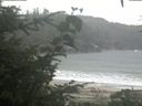./images/calvert/beach/20200821/beach20200821_162502.jpg