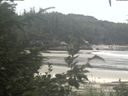 ./images/calvert/beach/20200822/beach20200822_110502.jpg