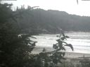 ./images/calvert/beach/20200822/beach20200822_142501.jpg