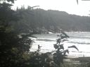 ./images/calvert/beach/20200822/beach20200822_164502.jpg