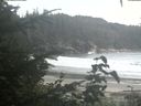 ./images/calvert/beach/20200822/beach20200822_183503.jpg