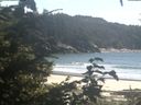 ./images/calvert/beach/20200824/beach20200824_154502.jpg