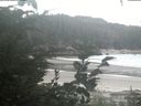 ./images/calvert/beach/20200825/beach20200825_141002.jpg