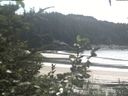 ./images/calvert/beach/20200826/beach20200826_141002.jpg