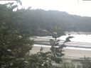 ./images/calvert/beach/20200826/beach20200826_144502.jpg