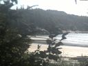 ./images/calvert/beach/20200826/beach20200826_153502.jpg