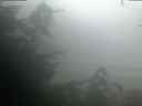 ./images/calvert/beach/20200827/beach20200827_061503.jpg
