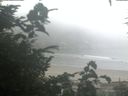./images/calvert/beach/20200827/beach20200827_065502.jpg