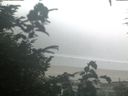 ./images/calvert/beach/20200827/beach20200827_071002.jpg