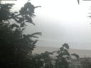 ./images/calvert/beach/20200827/beach20200827_072002.jpg