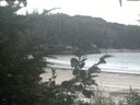./images/calvert/beach/20200827/beach20200827_102501.jpg