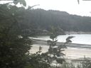 ./images/calvert/beach/20200827/beach20200827_115003.jpg