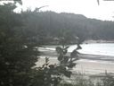 ./images/calvert/beach/20200827/beach20200827_121003.jpg
