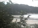 ./images/calvert/beach/20200827/beach20200827_125001.jpg