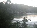 ./images/calvert/beach/20200827/beach20200827_202002.jpg