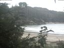 ./images/calvert/beach/20200828/beach20200828_095003.jpg