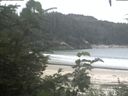 ./images/calvert/beach/20200828/beach20200828_115003.jpg