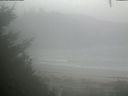 ./images/calvert/beach/20200901/beach20200901_141002.jpg