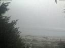 ./images/calvert/beach/20200904/beach20200904_064002.jpg