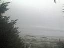 ./images/calvert/beach/20200904/beach20200904_064502.jpg