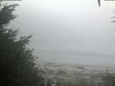 ./images/calvert/beach/20200904/beach20200904_065002.jpg