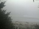 ./images/calvert/beach/20200904/beach20200904_072001.jpg