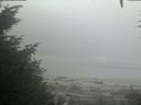 ./images/calvert/beach/20200904/beach20200904_072502.jpg