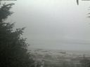 ./images/calvert/beach/20200904/beach20200904_073502.jpg