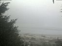 ./images/calvert/beach/20200904/beach20200904_074003.jpg
