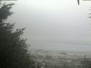./images/calvert/beach/20200904/beach20200904_074502.jpg