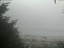 ./images/calvert/beach/20200904/beach20200904_075002.jpg