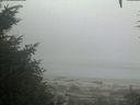 ./images/calvert/beach/20200904/beach20200904_075503.jpg