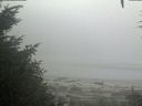 ./images/calvert/beach/20200904/beach20200904_080502.jpg