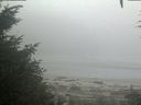 ./images/calvert/beach/20200904/beach20200904_081003.jpg