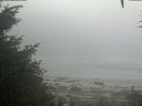 ./images/calvert/beach/20200904/beach20200904_081503.jpg