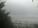 ./images/calvert/beach/20200904/beach20200904_082002.jpg