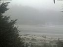 ./images/calvert/beach/20200904/beach20200904_095502.jpg