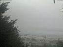./images/calvert/beach/20200904/beach20200904_102503.jpg