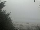 ./images/calvert/beach/20200904/beach20200904_103501.jpg