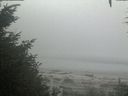 ./images/calvert/beach/20200904/beach20200904_104001.jpg