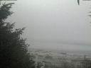 ./images/calvert/beach/20200904/beach20200904_104501.jpg