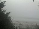 ./images/calvert/beach/20200904/beach20200904_105002.jpg