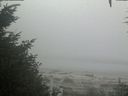 ./images/calvert/beach/20200904/beach20200904_105502.jpg