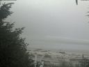 ./images/calvert/beach/20200904/beach20200904_111001.jpg