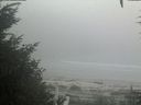 ./images/calvert/beach/20200905/beach20200905_171502.jpg