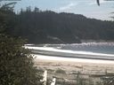 ./images/calvert/beach/20200907/beach20200907_141002.jpg