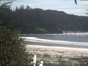 ./images/calvert/beach/20200907/beach20200907_143503.jpg