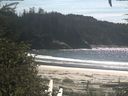 ./images/calvert/beach/20200907/beach20200907_144003.jpg