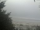 ./images/calvert/beach/20200911/beach20200911_095502.jpg