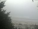 ./images/calvert/beach/20200911/beach20200911_100003.jpg